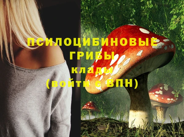 сатива Покровск