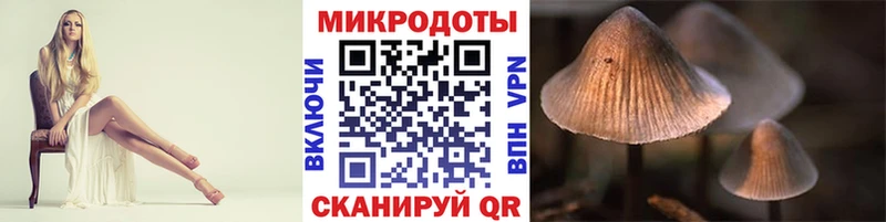 Псилоцибиновые грибы прущие грибы  гидра ТОР  Донской 